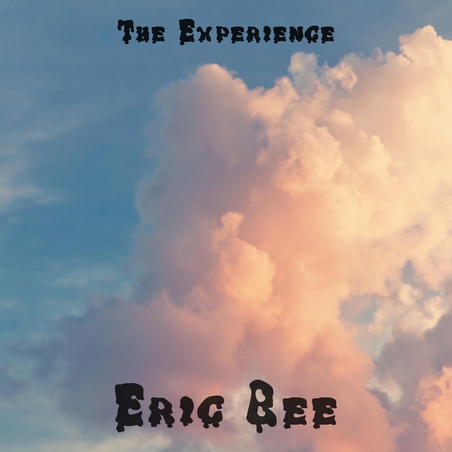 Couverture de The Experience