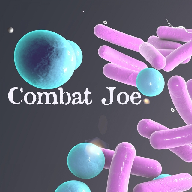 Combat Joe