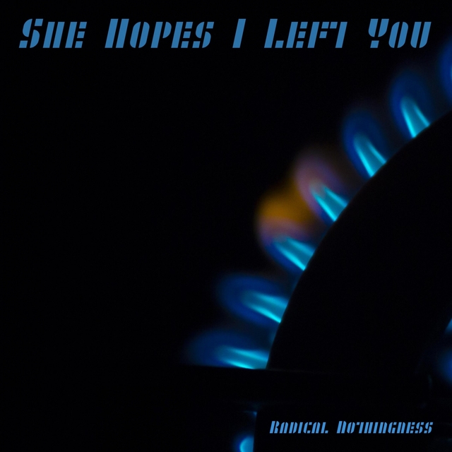 Couverture de She Hopes I Left You