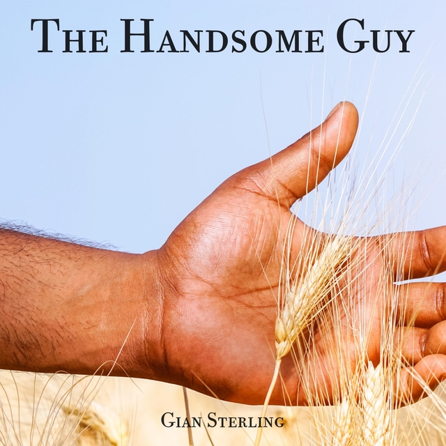 Couverture de The Handsome Guy