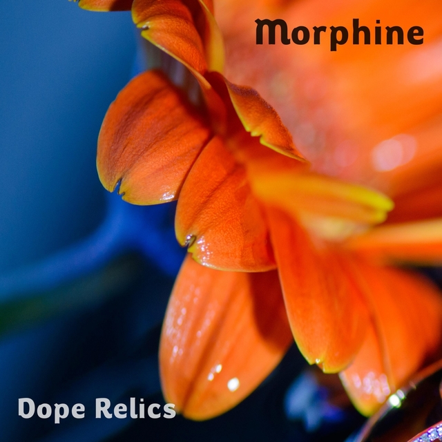 Couverture de Morphine