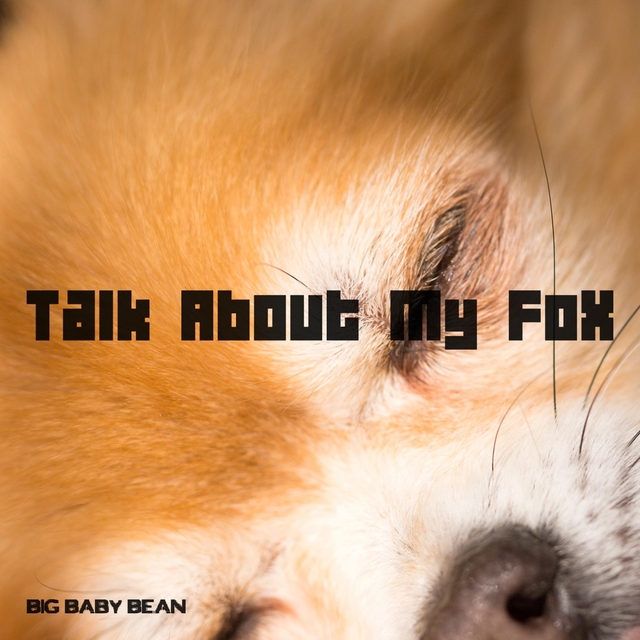 Couverture de Talk About My Fox