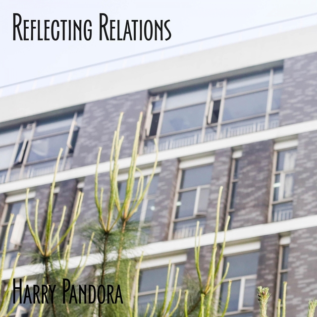 Couverture de Reflecting Relations