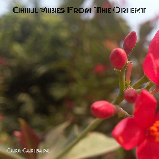 Couverture de Chill Vibes From The Orient