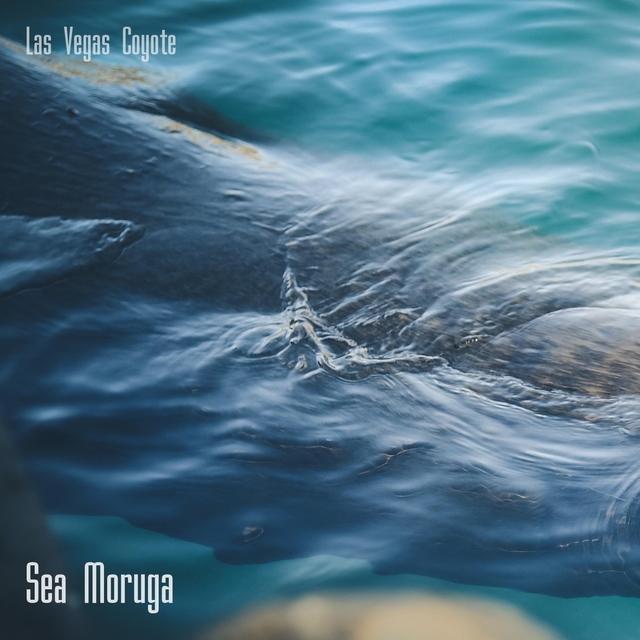 Sea Moruga