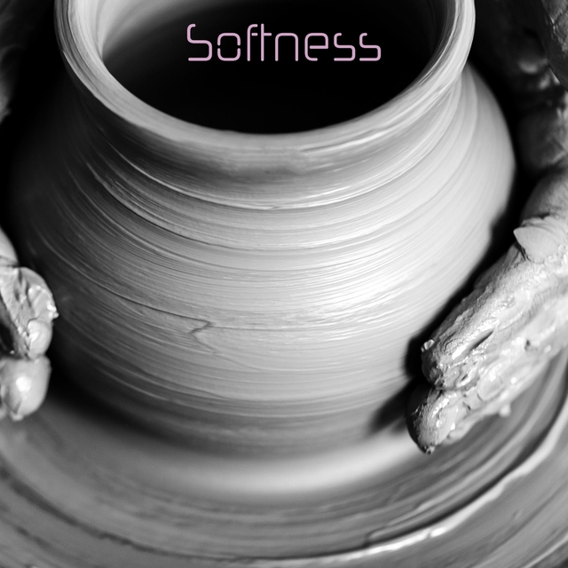 Couverture de Softness