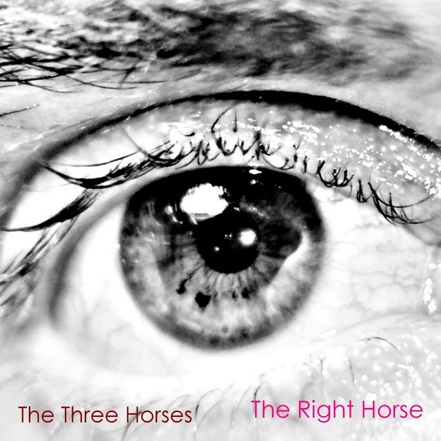 Couverture de The Right Horse