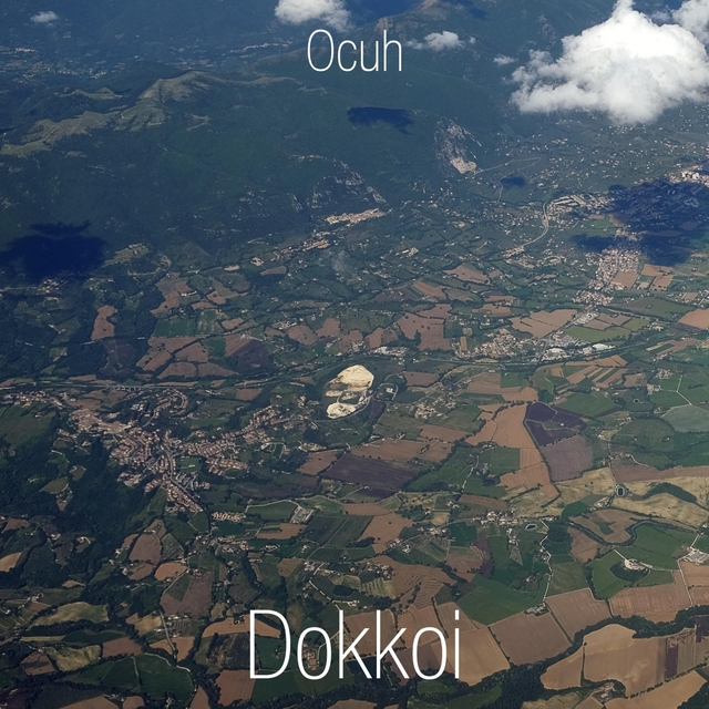 Couverture de Dokkoi