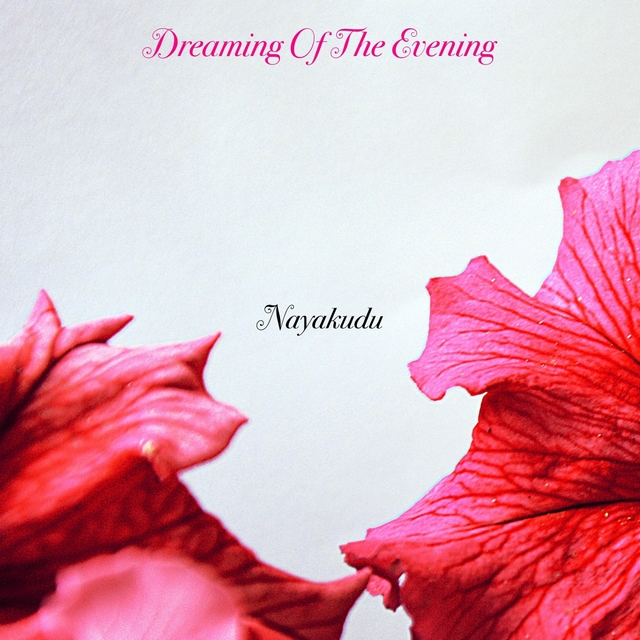 Couverture de Dreaming Of The Evening