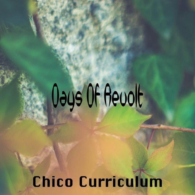 Couverture de Days Of Revolt