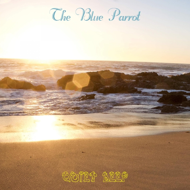 Couverture de The Blue Parrot