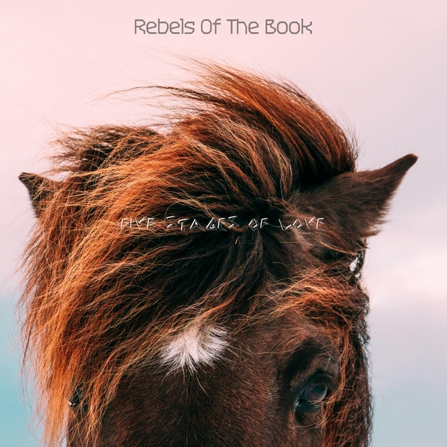 Couverture de Rebels Of The Book