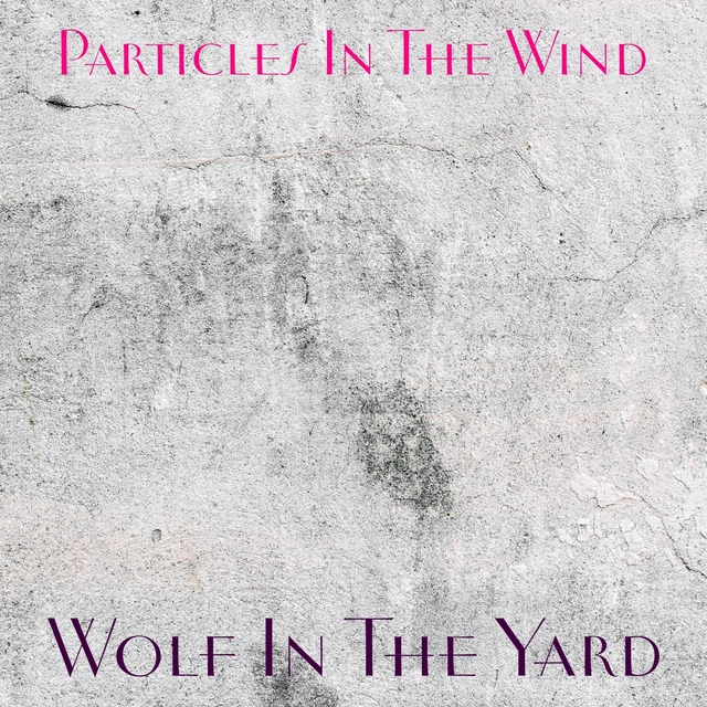 Particles In The Wind