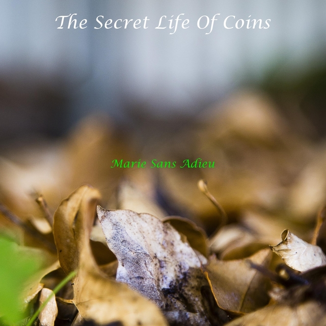 The Secret Life Of Coins