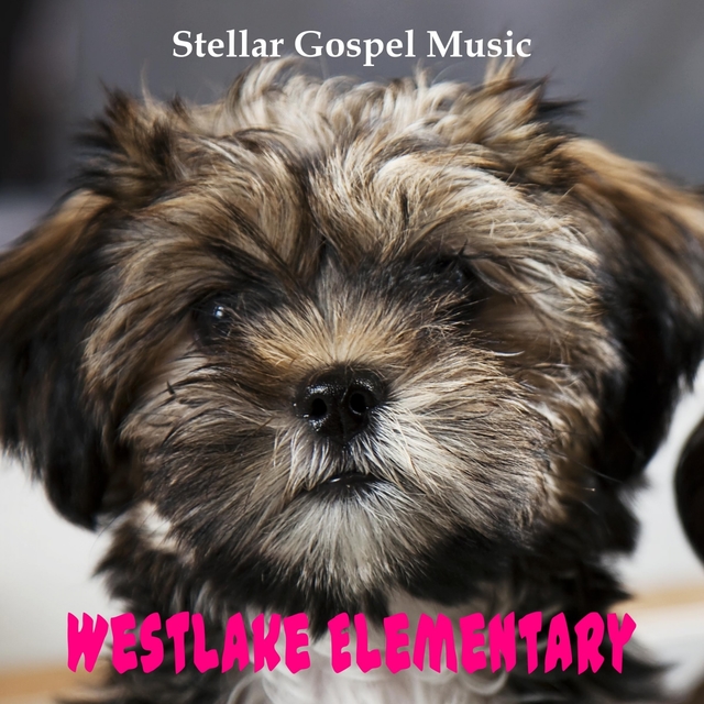 Couverture de Stellar Gospel Music