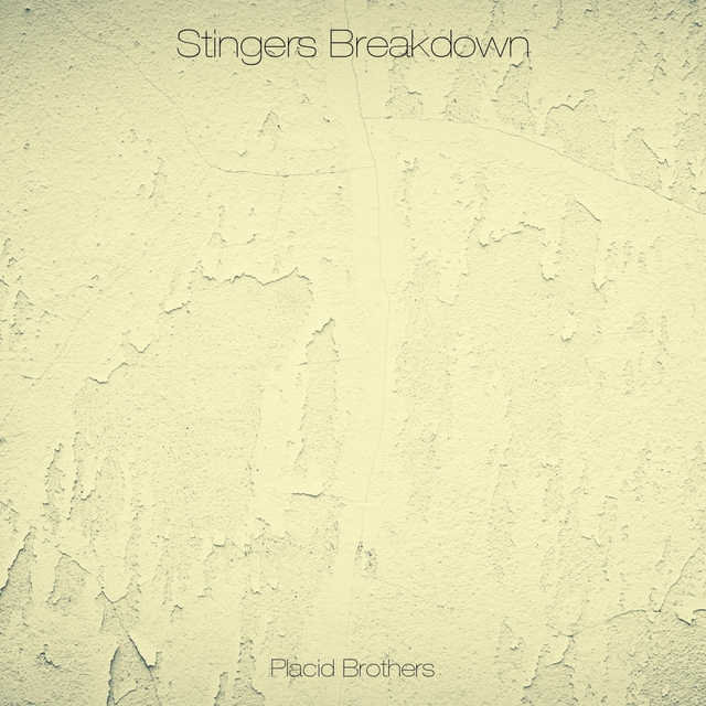 Couverture de Stingers Breakdown