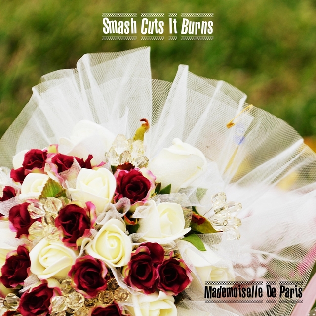 Couverture de Smash Cuts It Burns