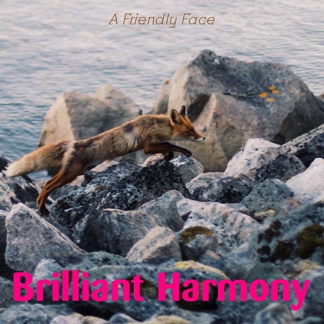 Couverture de A Friendly Face