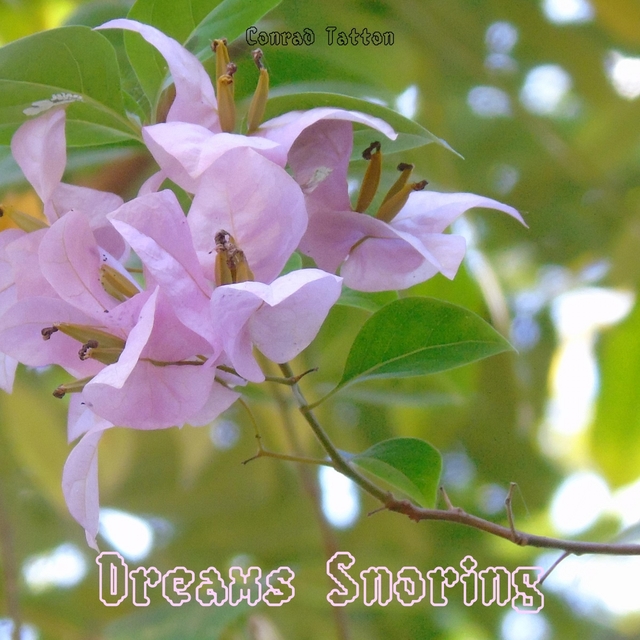 Couverture de Dreams Snoring