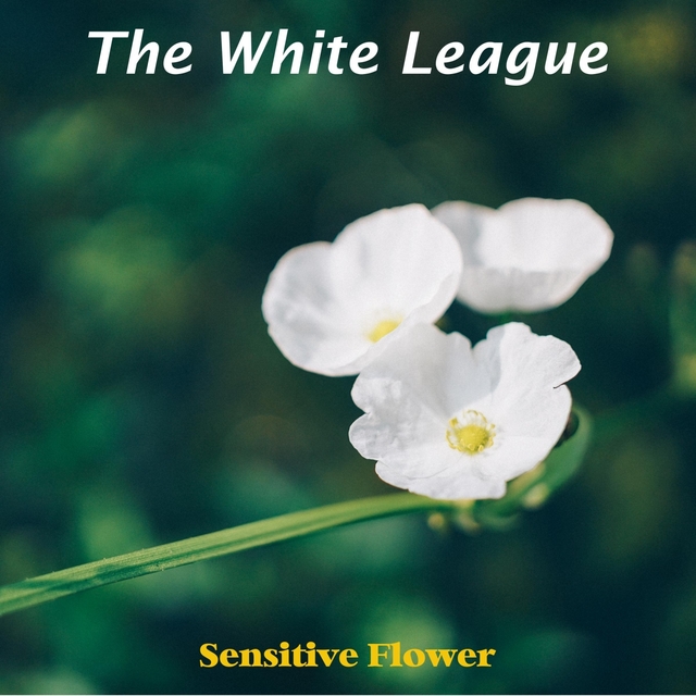 The White League