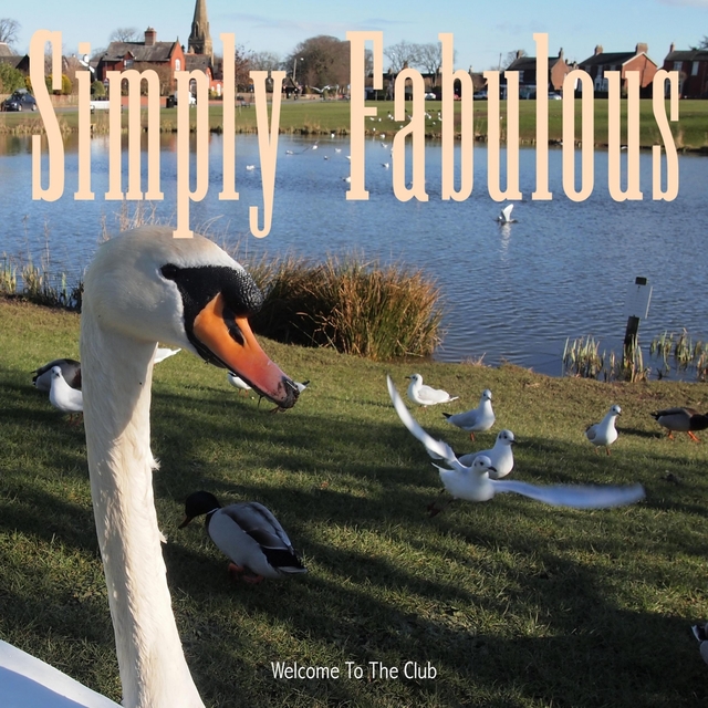 Couverture de Simply Fabulous