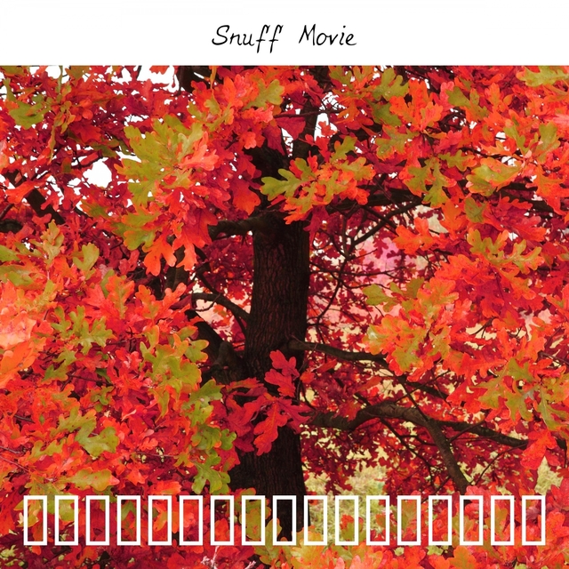 Snuff Movie