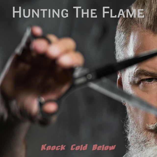 Couverture de Hunting The Flame