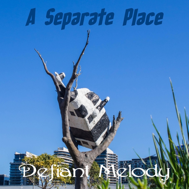 A Separate Place