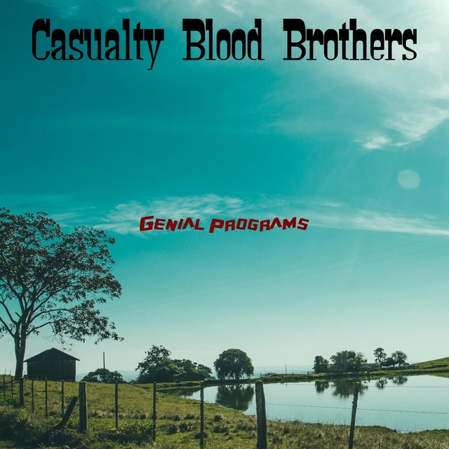 Casualty Blood Brothers