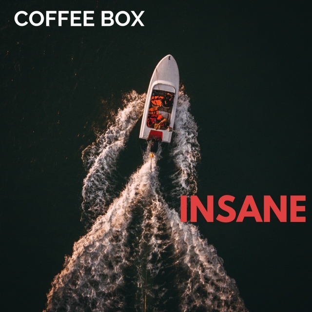 Couverture de Insane