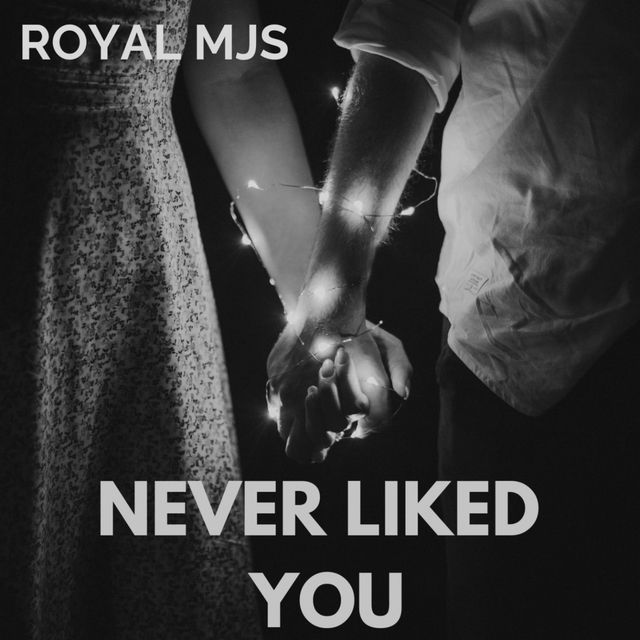 Couverture de Never Liked You