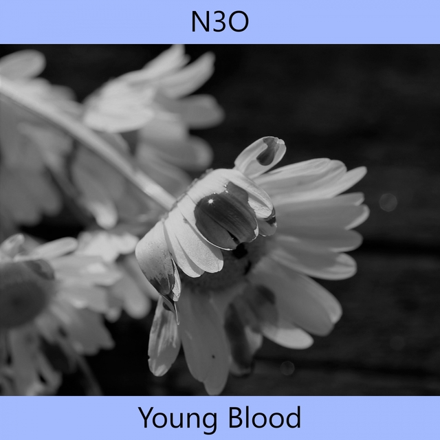 Couverture de Young Blood