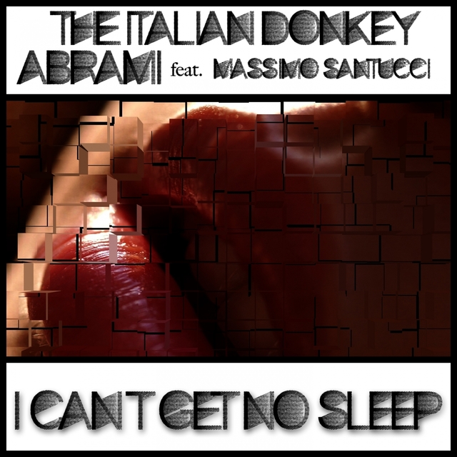 Couverture de I Can't Get No Sleep