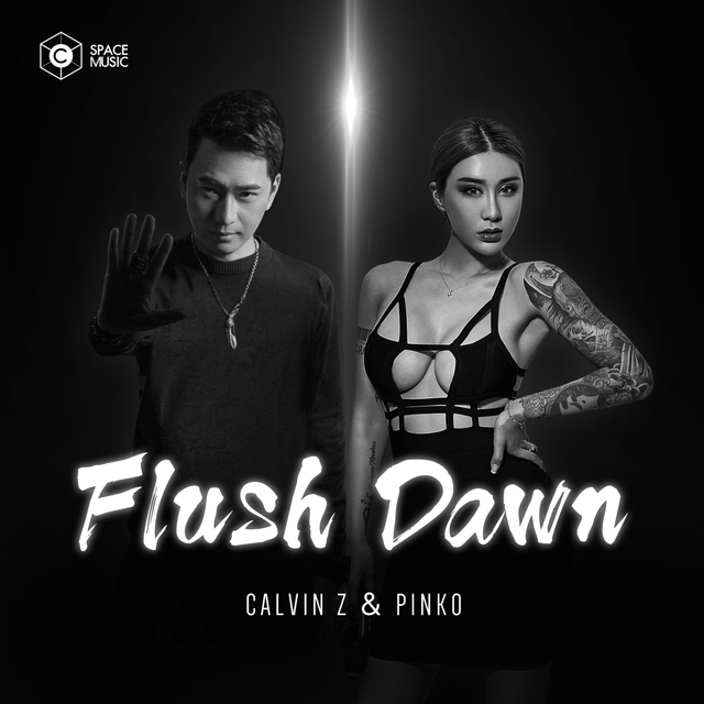 Couverture de Flush Down (Original Mix)