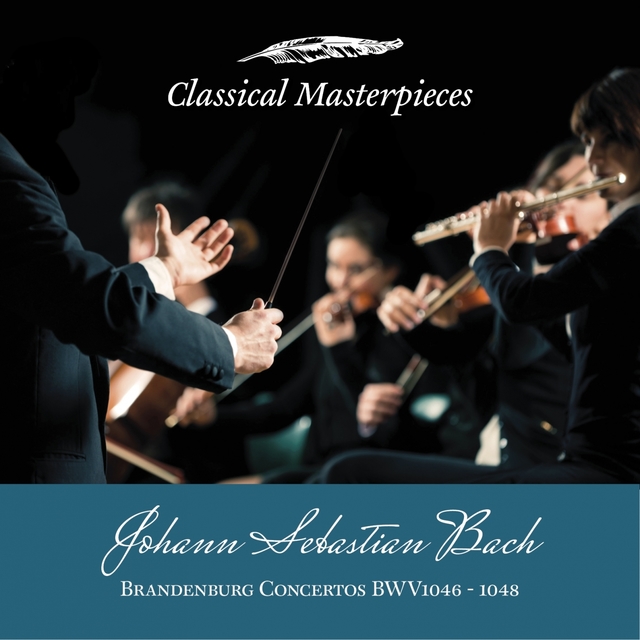 Couverture de Johann Sebastian Bach: Brandenburg Concertos BWV1046-1048