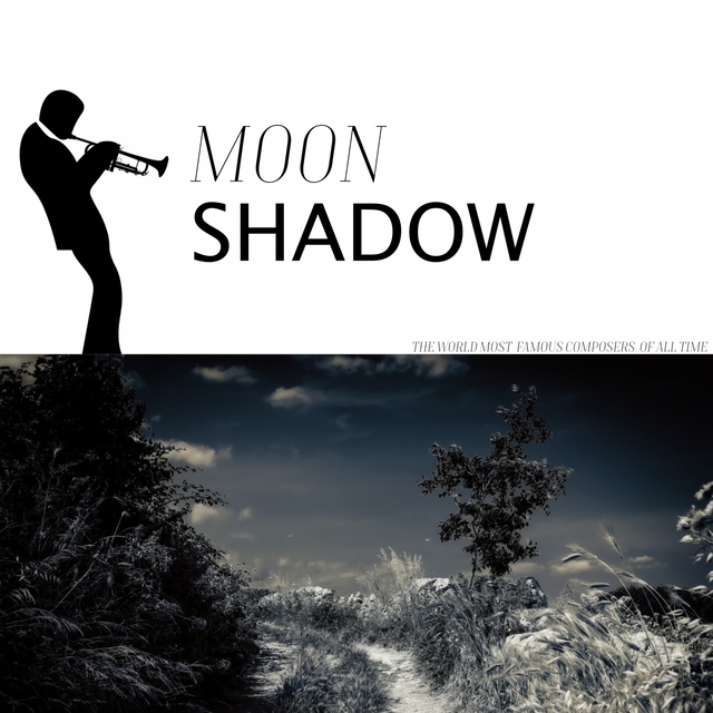 Couverture de Moon Shadow