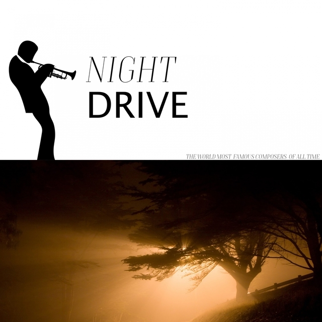 Night Drive