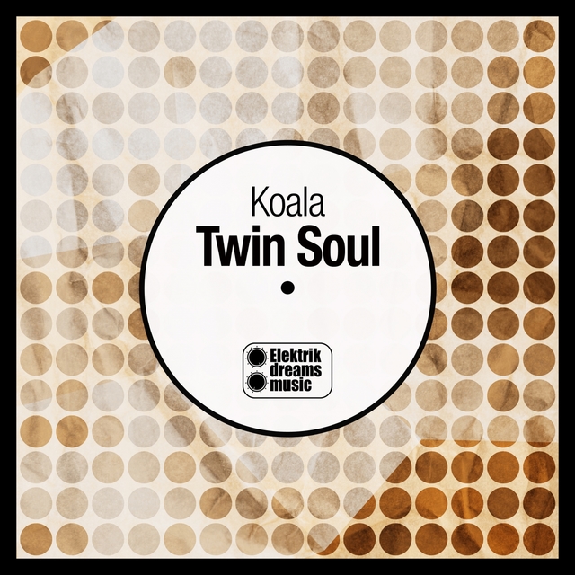 Couverture de Twin Soul