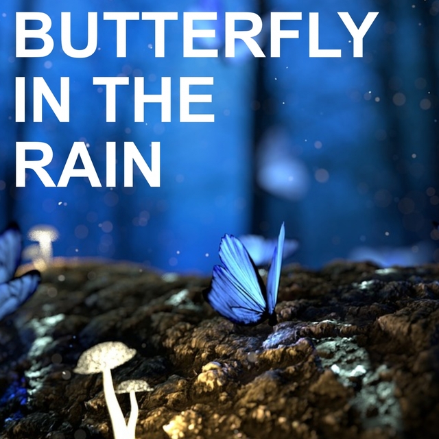 Butterfly in the Rain