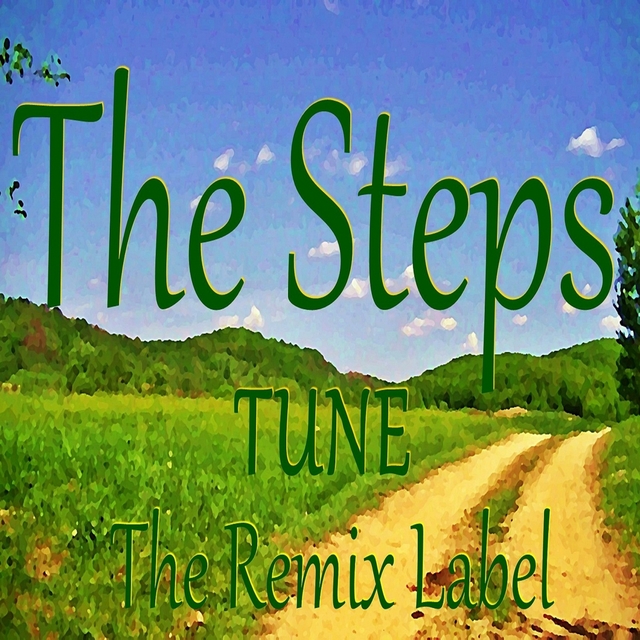 Couverture de The Steps Track