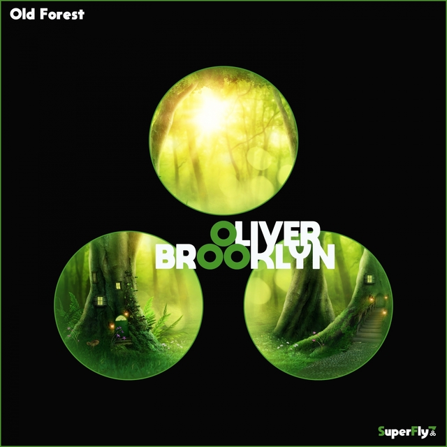 Couverture de Old Forest EP