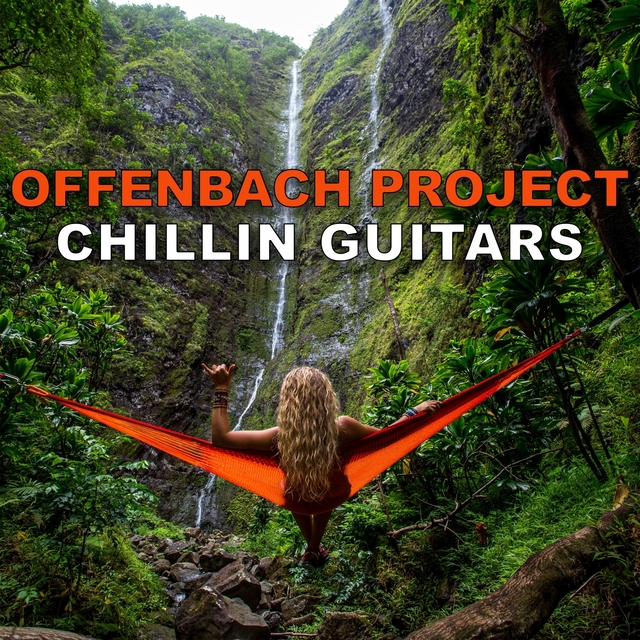 Couverture de Chillin Guitars