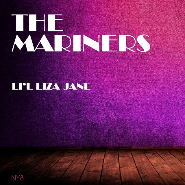 Couverture de Li'l Liza Jane