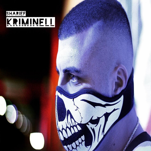 Couverture de Kriminell