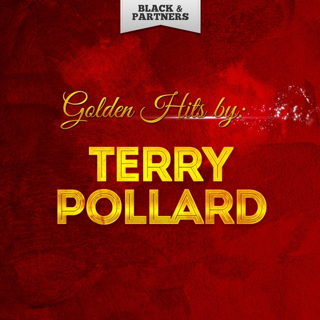 Couverture de Golden Hits By Terry Pollard