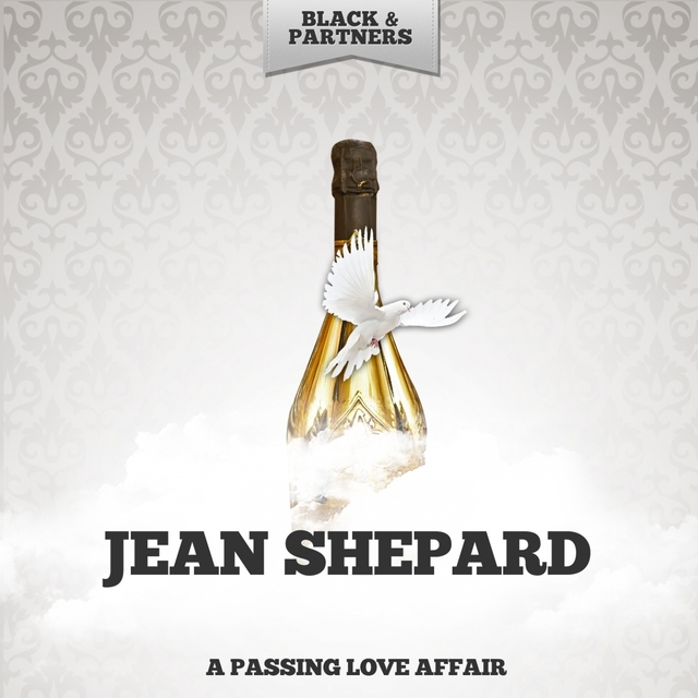 Couverture de A Passing Love Affair