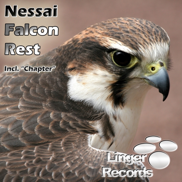 Couverture de Falcon Rest