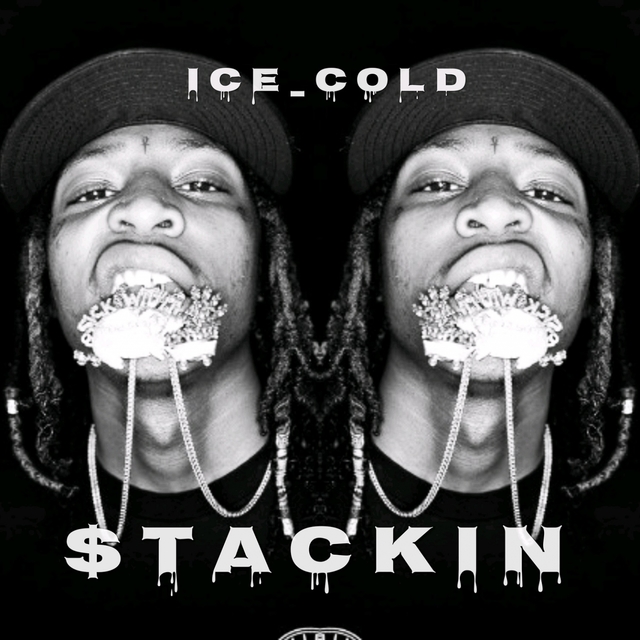 Couverture de Stackin