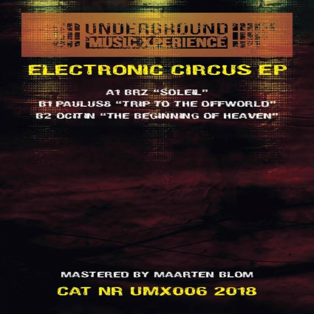 Couverture de Electronic Circus