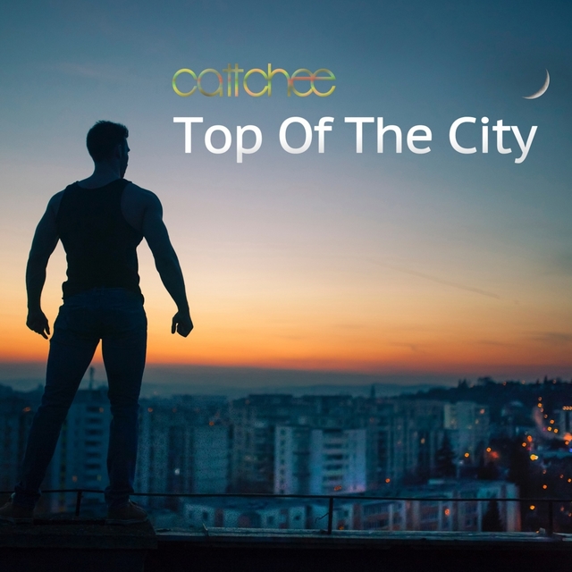 Couverture de Top Of The City